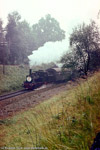 August 1976. 89 6009. Werdau / Ein Sonderzug aus Anlaß des 100jährigen Jubiläums der Strecke Werdau - Weida, hier aufgenommen im Werdauer Wald in der Nähe der ''Dreierbrücke''.