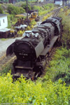 Juni 1985. 50 2740. Karl-Marx-Stadt Hilbersdorf / Ein Blick über den Zaun des Bahnbetriebswerks Karl-Marx-Stadt Hilbersdorf zeigt die Altbaumaschine 50 2740.