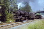 Sommer 1985. 50 3671. bei Wilkau-Haßlau / 