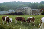 30. Mai 1987. 50 3145. 50 3551. Zwickau. Cainsdorf. Sachsen / In Cainsdorf ist der Zielbahnhof Zwickau schon fast wieder erreicht.