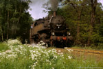 6. Juni 1987. 86 607. Zwickau. Pöhlau. Sachsen / 86 607 auf der Anschlußbahn des VEB Steinkohlenkokerei ''August Bebel'' Zwickau.