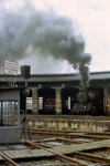 Juni 1987. 50 3689. Werdau. Leubnitz. Sachsen / Wenn der Dampfspender defekt oder zur Untersuchung war, was sehr oft vorkam, sorgte eine Dampflokomotive für warmes Wasser in der Einsatzstelle Werdau.