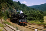 Juli 1987. 50 3600. Lauter-Bernsbach. Lauter/Sachsen. Sachsen / 50 3600 ist als Lz-Fahrt von Aue nach Schwarzenberg unterwegs, um dort den Containerzug nach Annaberg zu übernehmen. Auch dieser Teil der Strecke wurde bei der Sanierung eingleisig.