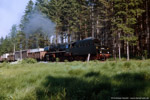 Juli 1987. 50 3600. Schlettau. . Sachsen / 50 3600 befindet sich mit dem ''Containerzug'' auf dem Rückweg von Annaberg-Buchholz nach Schwarzenberg.