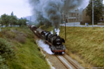 August 1987. 50 3654. Hohndorf. . Sachsen / 50 3654 war nach einer L6 im RAW Meiningen erst wenige Tage wieder im Einsatz und befand sich dementsprechend in einem tadellosen Zustand.