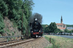 Mai 2002. 50 3648. Weesenstein / 50 3648 beförderte einen Sonderzug von Dresden-Plauen nach Altenberg.
