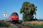 25. Juni 2002. 219 145. bei Zeitz / Am Abend des sehr heißen 25. Juni war 219 145 von Leipzig nach Saalfeld unterwegs.