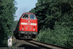 26. Juni 2002. 219 125. bei Hermsdorf / 