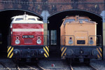 Bild des Monats Mai 2003 . .  / Anläßlich des 12. Heizhausfestes im Sächsischen Eisenbahnmuseum Chemnitz-Hilbersdorf waren V60 1120 (346 120) und 346 780 Seite an Seite in der Fahrzeugausstellung zu besichtigen.