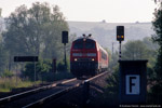 19. Mai 2005. 218 304. Crossen an der Elster. . Thüringen / Gegen 7:20 Uhr entstand diese Aufnahme des Vierländerexpress auf der Fahrt von Leipzig nach München.