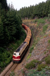 24. Juni 2005. MEG 203. Bad Lobenstein. Oberlemnitz. Thüringen / Hier ist der gleiche Zug wie im vorherigen Bild zu sehen. Im Spitzkehrenbahnhof musste die Fahrtrichtung gewechselt werden, so dass sich jetzt MEG 203 an der Spitze des Zuges befindet.