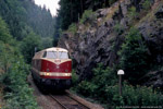 20. Juli 2005. MEG 202. Leutenberg. Grünau. Thüringen / Kurz vor dem Bahnhof Lichtentanne befindet sich dieser Felseinschnitt.