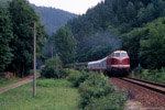 27. Juli 2005. MEG 202. Kaulsdorf. . Thüringen / Das Bild zeigt einen Güterzug in Richtung Lobenstein kurz hinter dem Bahnhof Hockeroda an dem die Sormitztalbahn von der Hauptstrecke abzweigt.