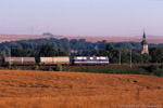 29. August 2005. Infraleuna 205. Niedertrebra. . Thüringen / Infraleuna 205 mit einem Kesselwagenzug vom Tanklager Weißensee nach Großkorbetha.