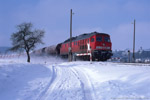 13. März 2006. 232 601. Crossen an der Elster. . Thüringen / Einmal pro Woche verkehrt ein Güterzug von Wünschendorf nach Brandenburg-Altstadt zum Stahl- und Walzwerk. 232 601 paasiert hier mit diesem Zug eine Anrufschranke in der Nähe von Crossen.