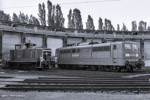 4. August 2006. 363 182. 151 124. Leipzig. Ost. Sachsen / Tag der offenen Tür / Fahrzeugausstellung anlässlich des 100 jährigen Jubiläums des Bw Engelsdorf.