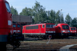 5. August 2006. 155 007. 182 011. Leipzig. Ost. Sachsen / Tag der offenen Tür / Fahrzeugausstellung anlässlich des 100 jährigen Jubiläums des Bw Engelsdorf.