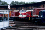 25. August 2006. 202 646. V180 141. V60 1120. V100 025. Chemnitz. Hilbersdorf. Sachsen / Fahrzeugausstellung zum 16. Heizhausfest im Sächsischen Eisenbahnmuseum Chemnitz-Hilbersdorf.