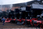 25. August 2006. 52 8029. 52 80 47. 52 8075. 52 8154. Chemnitz. Hilbersdorf. Sachsen / Fahrzeugausstellung zum 16. Heizhausfest im Sächsischen Eisenbahnmuseum Chemnitz-Hilbersdorf.