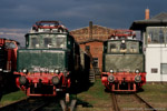 25. August 2006. 254 052. 254 059. Chemnitz. Hilbersdorf. Sachsen / Fahrzeugausstellung zum 16. Heizhausfest im Sächsischen Eisenbahnmuseum Chemnitz-Hilbersdorf.