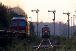 21. September 2006. 232 543. Meuselwitz. . Thüringen / Begegnung im Bahnhof Meuselwitz: 232 543 wartet mit einem Leerkohlezug nach Profen die Einfahrt eines Güterzuges ab, dessen Ziel die Bodenreinungsanlage Kriebitzsch ist.