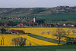 15. April 2007. LVT/S. Laucha an der Unstrut. Golzen. Sachsen-Anhalt / Ein LVT/S der Burgenlandbahn kurz vor Erreichen des Bahnhofs Laucha gegen 18:40 Uhr.