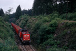 29. Juni 2007. 204 641. Bad Lobenstein. Oberlemnitz. Thüringen / 204 641 und 204 671 am Zugschluss haben gegen 8:20 Uhr den Brechpunkt auf der Fahrt nach Lobenstein erreicht.