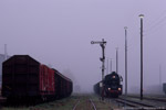 11. Oktober 2007. 41 1144. Bad Salzungen. . Thüringen / Dampf trifft Kies. 41 1144 in Bad Salzungen. Die Lok hatte vorher gemeinsam mit 52 8075 WEG20 aus Eisenach nach Bad Salzungen gebracht.