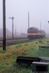 11. Oktober 2007. LEG 120 295. Bad Salzungen. . Thüringen / Die beiden Taigatrommeln der LEG sind planmäßig im Werratal unterwegs. Im Hintergund ist 52 8075 zu erkennen.