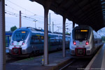 5. August 2014. 1442 121. 1442 102. Halle (Saale). Stadtbezirk Ost. Sachsen-Anhalt / 1442 102 kurz nach Ankunft als Zug der Linie S5X in Halle Hauptbahnhof. 1442 121 steht abfahrbereit nach Leipzig Hbf, ebenfalls als Zug der Linie S5X.