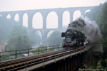 11. Juni 1988. 50 3670. Lunzenau. . Sachsen / 50 3670 mit Gag 56353 unterhalb des Göhrener Viadukts.