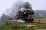 11. Juni 1988. 50 3670. Glauchau. Kleinbernsdorf. Sachsen / 50 3670 mit Gag 56353 kurz vor Glauchau.