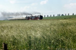 12. Juni 1988. 01 137. 03 001. Glauchau. Niederlungwitz. Sachsen / Rückfahrt des Sonderzuges von Glauchau nach Dresden.