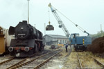 Sommer 1988. 50 3670. Werdau. Leubnitz. Sachsen / Nachdem 50 3670 die offiziellen Abschiedszüge zum Ende des Dampflokeinsatzes im Bw Glauchau befördert hatte, wurde sie an das Bw Reichenbach abgegeben und diente dort als Heizlok. Hier ist sie beim Bekohlen in der Einsatzstelle Werdau zu sehen.