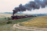 6. August 1988. 50 2740. Erfurt. Schmira. Thüringen / Den letzten ''Auftritt'' vor dem Verkauf hatte 50 2740 in Erfurt, hier zu sehen mit einer Übergabe nach Bindersleben.