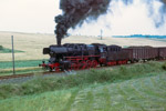 6. August 1988. 50 2740. Erfurt. Schmira. Thüringen / Den letzten ''Auftritt'' vor dem Verkauf hatte 50 2740 in Erfurt, hier zu sehen mit einer Übergabe nach Bindersleben.