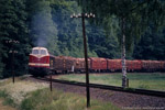 Eisenbahngüterverkehr im Thüringer Oberland