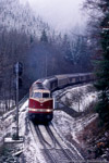 Eisenbahngüterverkehr im Thüringer Oberland