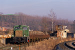 Eisenbahngüterverkehr im Elstertal