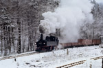 99 606 folgte den beiden Sonderzügen mit einem Fotogüterzug.