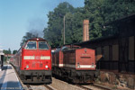 Am Morgen des 26. Juni begegneten sich 219 029 und die geschleppte 202 294 im Bahnhof Hermsdorf-Klosterlausnitz.